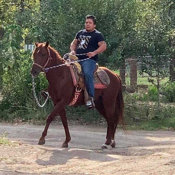 Meet your Posher, Cesar - Picture 1 of 1